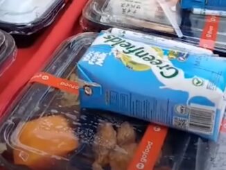 Menu Makan Siang Gratis (Tangkapan Layar Youtube)