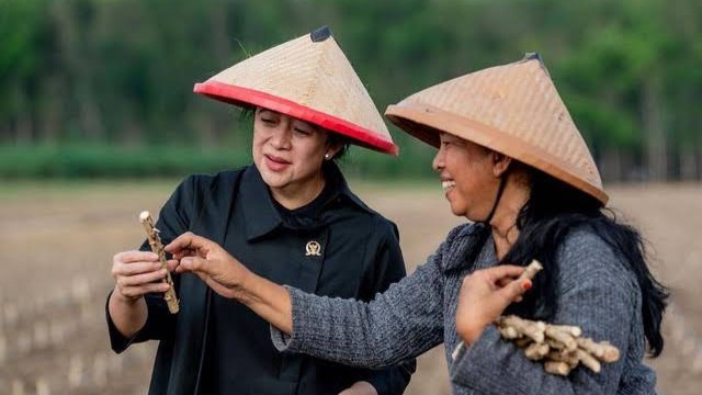 Puan Maharani Dorong Konsumsi Singkong untuk Cegah Diabetes pada Anak