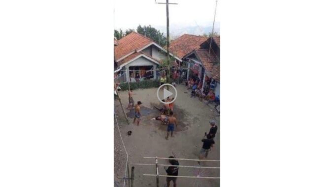 Tragedi Lomba Panjat Pinang di Brebes Seorang Peserta Meninggal Dunia