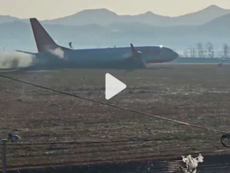 Pesawat Jeju Air Jatuh dan Terbakar di Muan, Korea Selatan