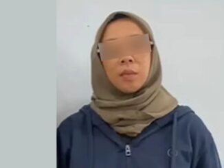 Novi Citra Indriyati, Lagu 'Bayar Bayar Bayar' Viral