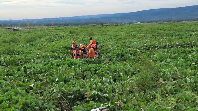 Tim SAR gabungan mengevakuasi seorang lansia pencari eceng gondok di tengah Danau Rawapening, Kecamatan Tuntang, Kabupaten Semarang, Selasa (18/3/2025).