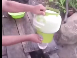 Pria Kalimantan Bongkar Isi Gas (Tangkapan Layar Instagram)