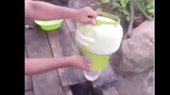 Pria Kalimantan Bongkar Isi Gas (Tangkapan Layar Instagram)