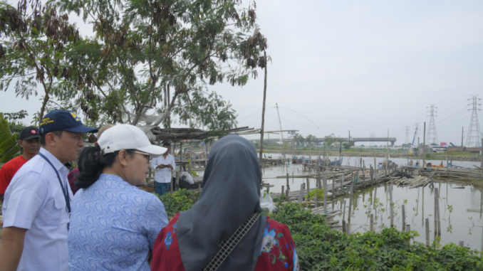 wisata-mangrove