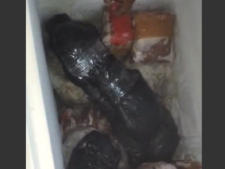 Bangkai kucing dalam freezer tangkapan layar