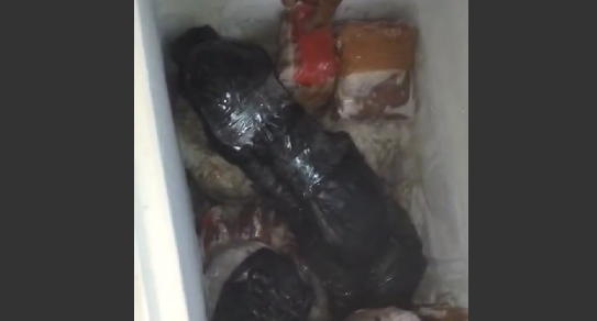 Bangkai kucing dalam freezer tangkapan layar