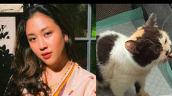 Sherina Munaf dan Uya Kuya Sepakat Damai, Kucing Akan Dikembalikan