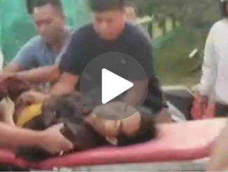 Viral Pria Bersarung Tewas Dibacok di Tengah Jalan Bangkalan Madura