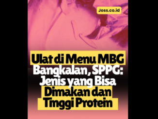 Ulat di Menu MBG, SPPG: Jenis Yang Bisa Dimakan dan Tinggi Protein
