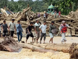 Toba Pulp Lestari Bantah Jadi Penyebab Banjir Dahsyat di Sumatra