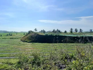 Di sepanjang pesisir selatan Jawa, dari Kebumen hingga Purworejo, terbentang benteng alami yang terbentuk ribuan tahun lalu. Punggungan pasir yang menjulang di balik garis pantai itu bukan sekadar tumpukan pasir biasa, melainkan dinding pelindung yang diciptakan alam untuk menahan terjangan tsunami.