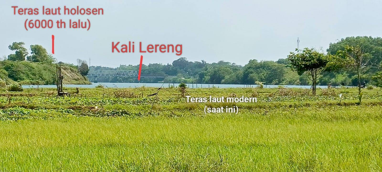  Di sepanjang pesisir selatan Jawa, dari Kebumen hingga Purworejo, terbentang benteng alami yang terbentuk ribuan tahun lalu. Punggungan pasir yang menjulang di balik garis pantai itu bukan sekadar tumpukan pasir biasa, melainkan dinding pelindung yang diciptakan alam untuk menahan terjangan tsunami.
