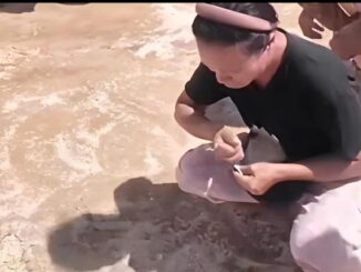 Viral Video Bantuan Dijatuhkan dari Helikopter di Taput Jadi Sorotan
