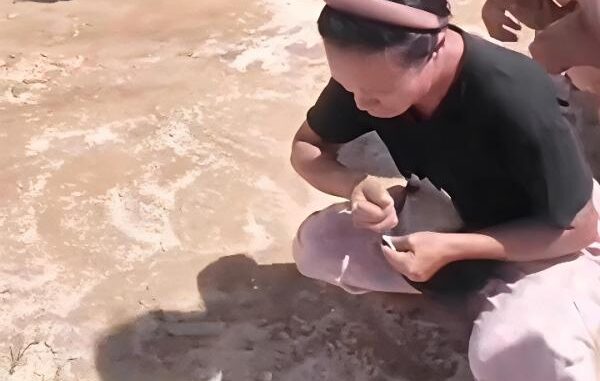 Viral Video Bantuan Dijatuhkan dari Helikopter di Taput Jadi Sorotan