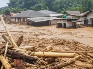Banjir Sumatera: Komisi IV DPR Panggil Kemenhut Bahas Kayu Gelondongan