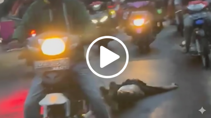 Viral Video Pelaku Pemerkosaan di Gowa Tewas Diamuk Massa, Kemaluan Dipotong