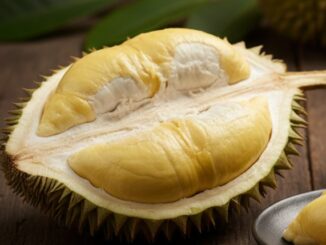 Ekspor Durian Beku Indonesia Tembus Pasar China