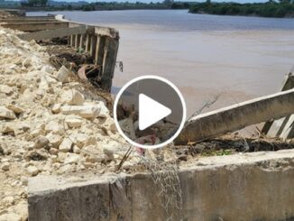 Viral! Belum Genap Setahun Proyek Tebing Bengawan Solo Bojonegoro Rusak