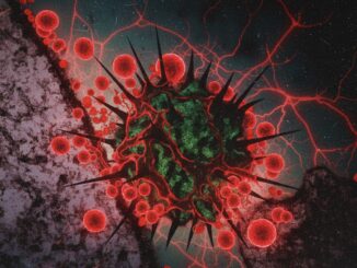 Virus Nipah Tewaskan Wanita di Bangladesh, WHO Beri Peringatan