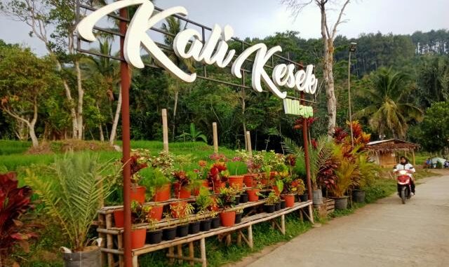 Menjelang Lebaran 2026, Desa Sriwulan Kendal membagikan THR Rp 1 juta per KK dari pendapatan wisata alam Kalikesek yang tembus Rp 1,4 miliar pada 2025. Menjelang Lebaran 2026, Desa Sriwulan Kendal membagikan THR Rp 1 juta per KK dari pendapatan wisata alam Kalikesek yang tembus Rp 1,4 miliar pada 2025.
