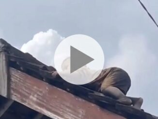 Video bocah 2 tahun merayap di genteng rumah di Lombok Tengah viral di media sosial.