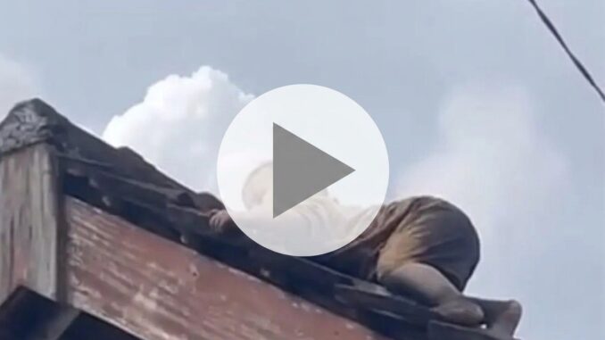 Video bocah 2 tahun merayap di genteng rumah di Lombok Tengah viral di media sosial. Video bocah 2 tahun merayap di genteng rumah di Lombok Tengah viral di media sosial.