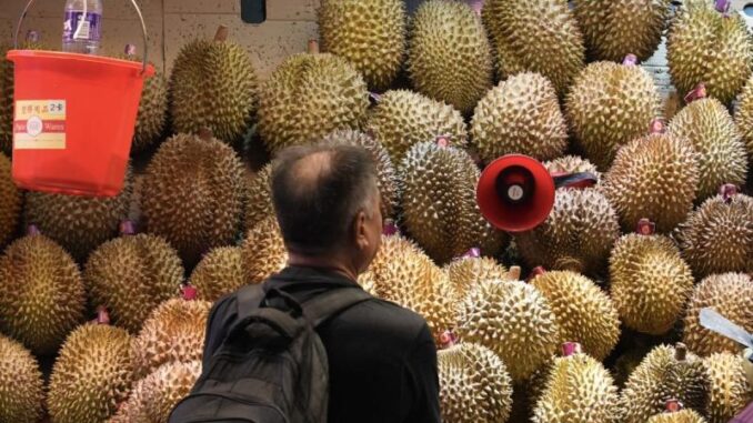 China meluncurkan kereta ekspres khusus durian dari Thailand melalui Laos ke Kunming. Waktu kirim cepat 3 hari, harga durian impor turun hingga 30 persen berkat pasokan meningkat.