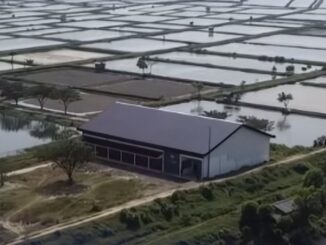 Bangunan Koperasi Desa Merah Putih di Langgenharjo, Margoyoso, Pati dipersoalkan karena jauh dari permukiman, sementara pemerintah desa menyebutnya bagian rencana wisata.