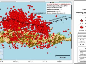 BMKG mencatat 2.768 gempa susulan pascagempa M7,7 Flores dan tsunami. Masyarakat diimbau tetap waspada, gempa susulan diprediksi berlangsung 3-4 minggu.