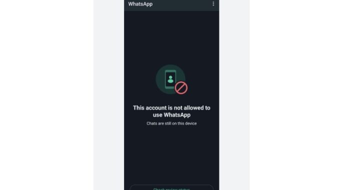 Komdigi desak Meta beri klarifikasi soal banyaknya akun WhatsApp yang diretas untuk promosi judi online hingga berujung suspend. Cek selengkapnya di sini.