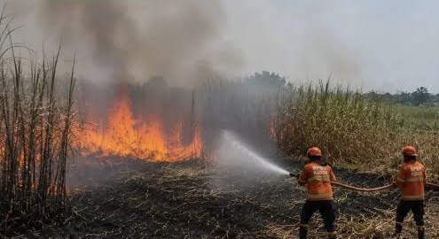 Kasus Karhutla di Jateng melonjak 700% tembus 232 kejadian hingga Agustus 2026. BPBD dan Pemprov imbau warga antisipasi dampak kemarau ekstrem.