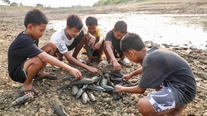 Atasi bau bangkai ikan sapu-sapu di Sungai Juana Pati, Gubernur Jateng Ahmad Luthfi perintahkan pengerahan alat berat untuk mengubur bangkai ikan. Atasi bau bangkai ikan sapu-sapu di Sungai Juana Pati, Gubernur Jateng Ahmad Luthfi perintahkan pengerahan alat berat untuk mengubur bangkai ikan.