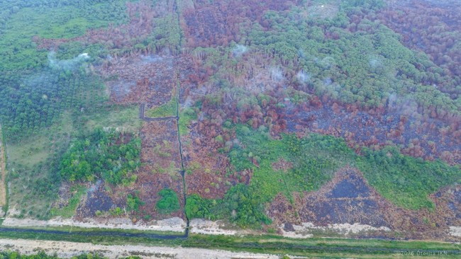 Kebakaran hutan dan lahan (karhutla) di sekitar IKN dan Bukit Soeharto dipastikan padam. OIKN tetap siagakan tim gabungan untuk patroli titik panas.