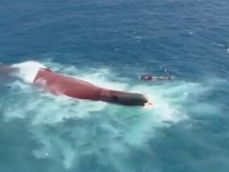 Tim SAR gabungan terus berpacu dengan waktu mencari 129 korban Kapal Virgo Transport 8 yang tenggelam di Laut Jawa.
