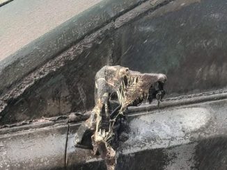 Sebuah mobil listrik terbakar di depan Gereja Kalam Kudus Solo usai trafo PLN meledak dan menumpahkan oli panas. Simak kronologi selengkapnya di sini!