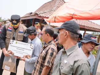 Petani kopi lereng Gunung Merapi di Klaten mulai membudidayakan kopi arabika varietas Gayo 3 (Ateng Super) dari Aceh untuk meningkatkan produktivitas panen.