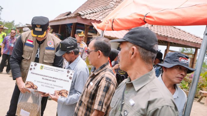 Petani kopi lereng Gunung Merapi di Klaten mulai membudidayakan kopi arabika varietas Gayo 3 (Ateng Super) dari Aceh untuk meningkatkan produktivitas panen.