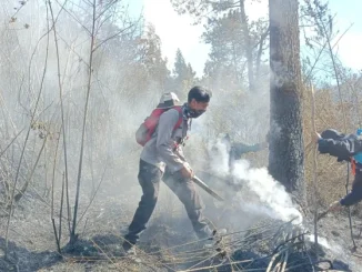 Pemkab Karanganyar menetapkan status tanggap darurat Karhutla Gunung Lawu selama 14 hari dan mengajukan bantuan water bombing ke BNPB.