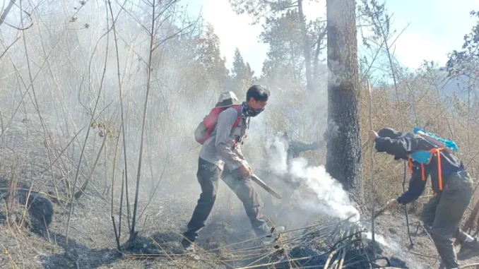 Pemkab Karanganyar menetapkan status tanggap darurat Karhutla Gunung Lawu selama 14 hari dan mengajukan bantuan water bombing ke BNPB.