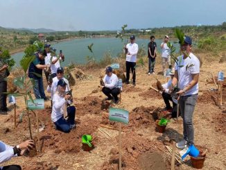 KEK Industropolis Batang hijaukan kawasan dengan ribuan pohon aren untuk diolah jadi bioetanol dan gula aren.