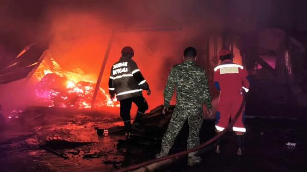 Kebakaran Pabrik triplek PT Ewaywood di Boyolali ludes terbakar akibat tangki oli mesin oven meledak. Kerugian ditaksir mencapai Rp1 miliar. Simak kronologinya di sini.