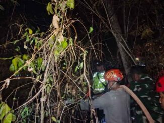 Sat Samapta Polres Grobogan turun langsung membantu pemadaman kebakaran lahan (karhutla) di Desa Genengadal, Kecamatan Toroh. Simak selengkapnya.