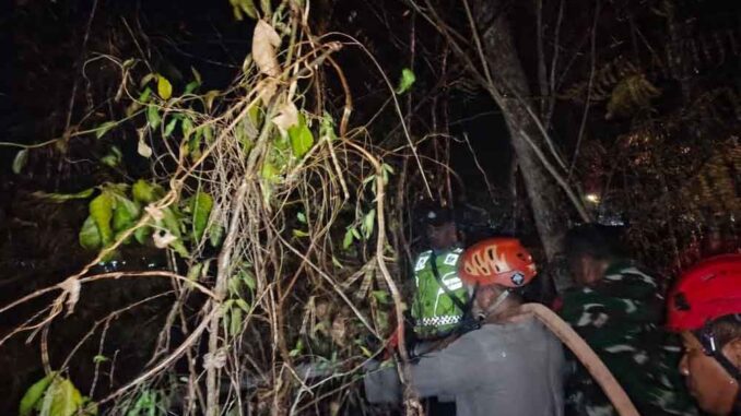 Sat Samapta Polres Grobogan turun langsung membantu pemadaman kebakaran lahan (karhutla) di Desa Genengadal, Kecamatan Toroh. Simak selengkapnya.