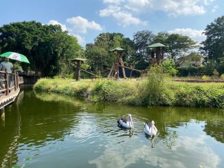 Panduan lengkap harga tiket masuk Solo Safari terbaru 2026, jam operasional, pilihan tiket reguler & premium, serta lokasi wisata edukasi favorit di Solo.