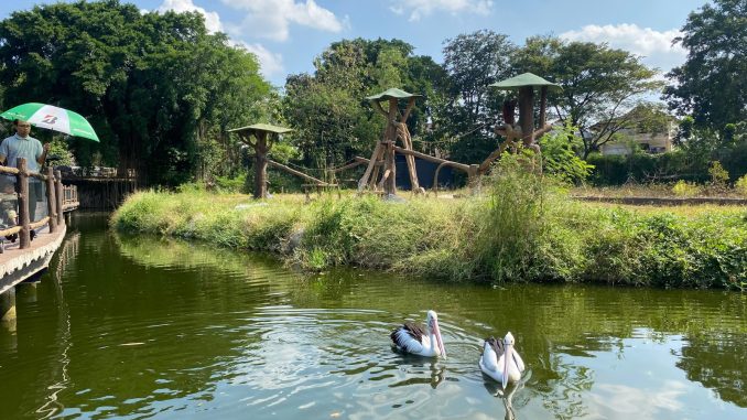 Panduan lengkap harga tiket masuk Solo Safari terbaru 2026, jam operasional, pilihan tiket reguler & premium, serta lokasi wisata edukasi favorit di Solo.