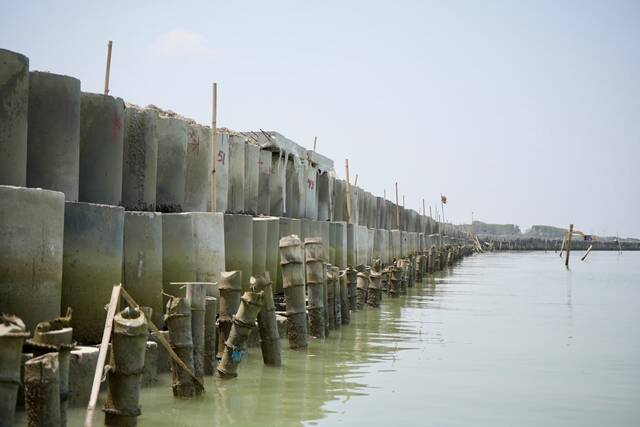 Pemprov Jateng membangun Hybrid Sea Wall di Sayung, Demak untuk cegah abrasi dan rob. Kombinasi beton dan mangrove ini ditargetkan tuntas November 2026.