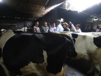 Pemprov Jateng siapkan layanan kesehatan hewan dan perluas kawasan Magelang sebagai sentra susu baru demi dukung swasembada susu nasional.