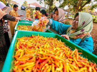 Guna tekan inflasi Jawa Tengah, Pemprov Jateng dan BI menggelar gerakan pangan murah serta menyalurkan bantuan untuk menjaga stabilitas harga pangan.