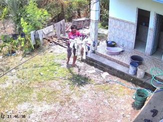 Aksi pencurian celana dalam dan bra di Pati terekam CCTV hingga viral. Pelaku mengaku mencuri puluhan pakaian dalam wanita untuk jimat pengasihan.